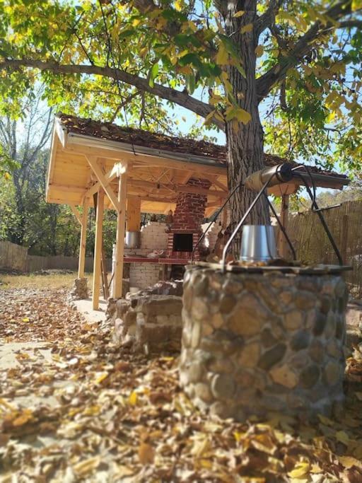 Ижата - Топлина И Уют Borovitsa Kültér fotó